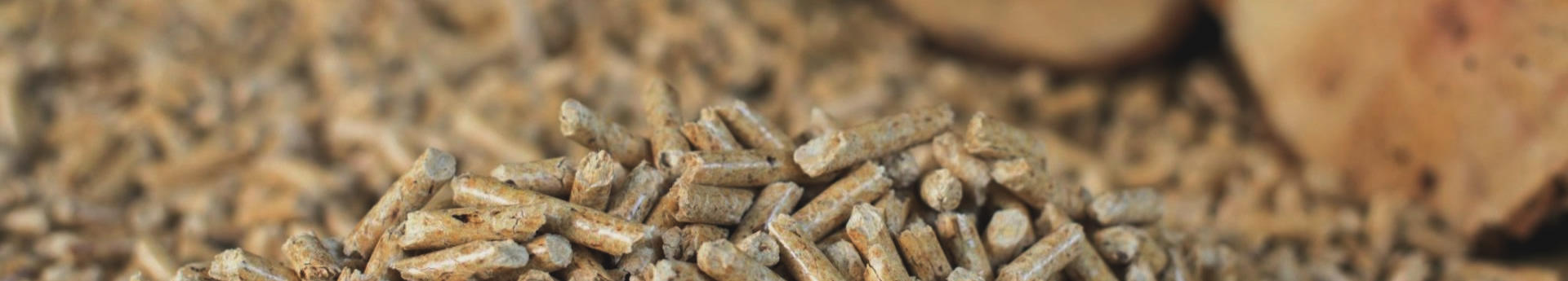 Inštalacije ogrevanja na biomaso Savinjska